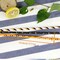 Kitcheniva Halloween Paper Straws – Biodegradable Decorative Straws for Soda, Milk Tea & Party Drinks 25 Pcs